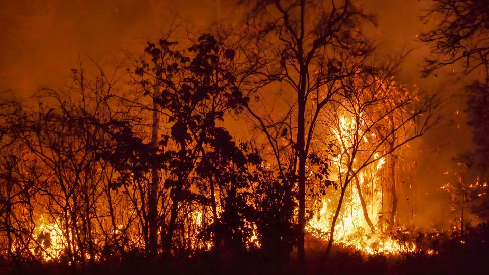 【法律】加州山火致命事故赔偿诉讼：谁能起诉？可获哪些赔偿？ | BECKER LAW GROUP