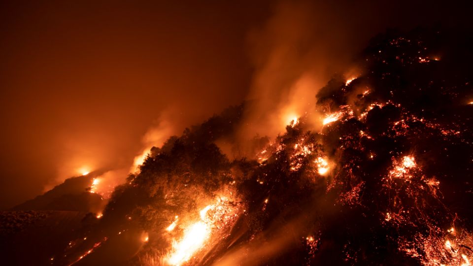 【法律】山火严重烧伤：法律权益、医学证据与赔偿最大化 | BECKER LAW GROUP