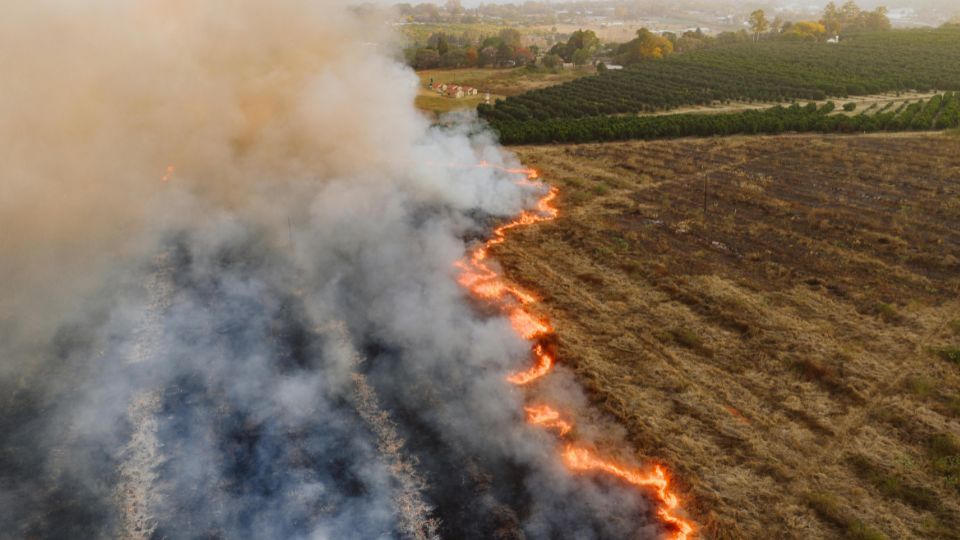 【法律】Premises Liability in California: When Are Property Owners Responsible for Injury or Death? | BECKER LAW GROUP