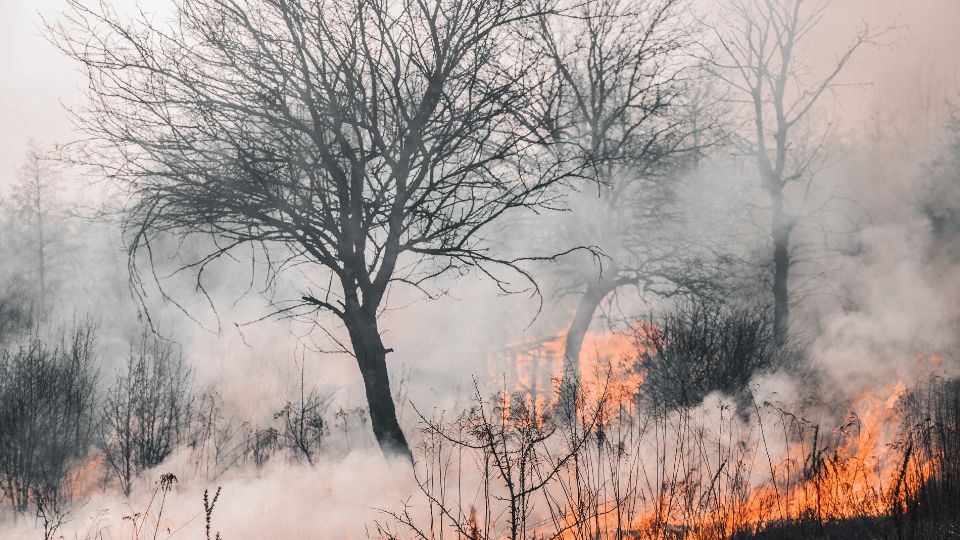 【法律】人身伤害还是死亡赔偿？加州法律如何界定和补偿火灾相关索赔 | BECKER LAW GROUP