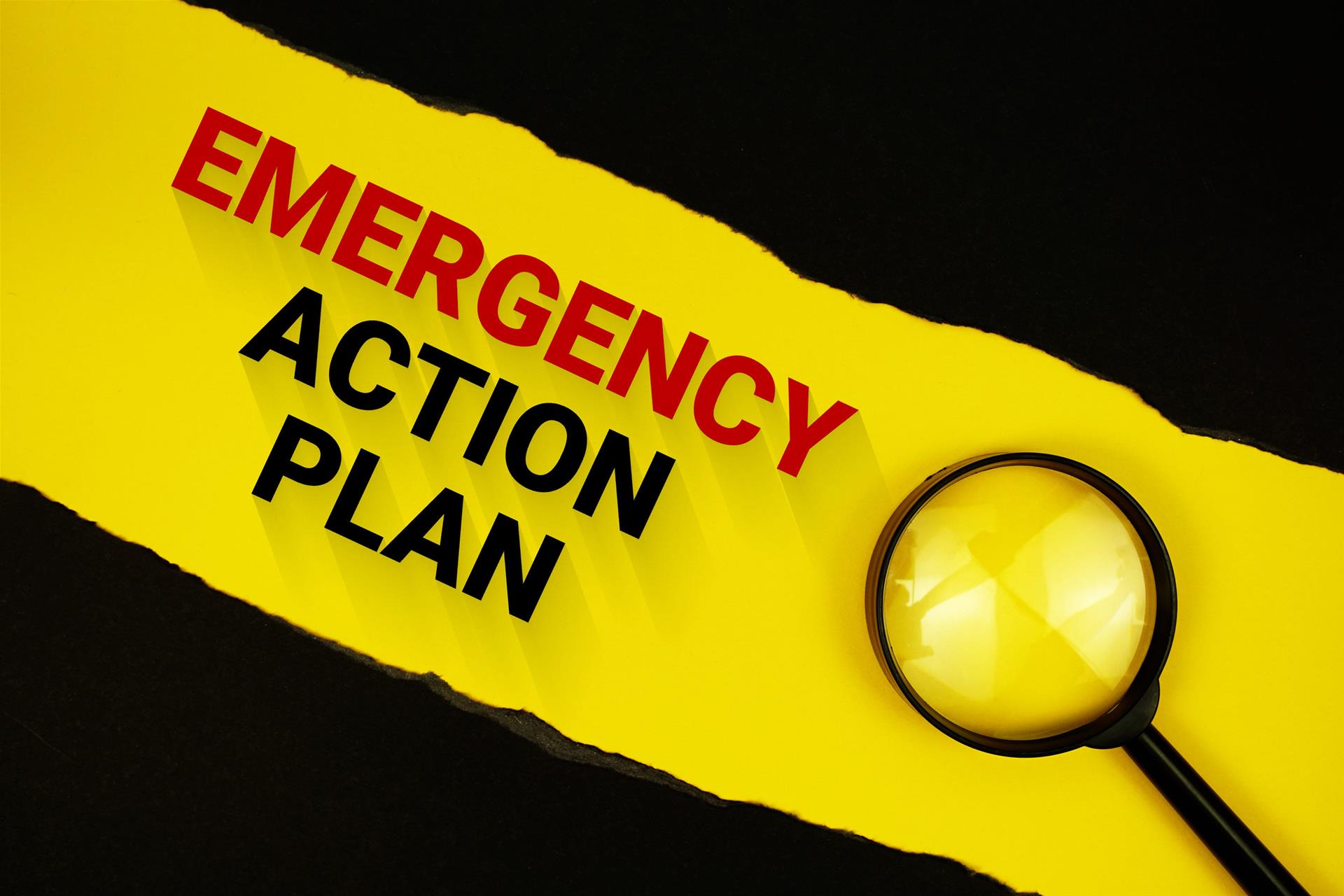 洛杉矶县发布免费《应急生存指南》 多语言版本帮助居民应对灾害