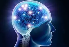 【健康】世卫组织2026最新指南：这20件事，可能决定大脑老化速度| 美國貝佳天然藥業