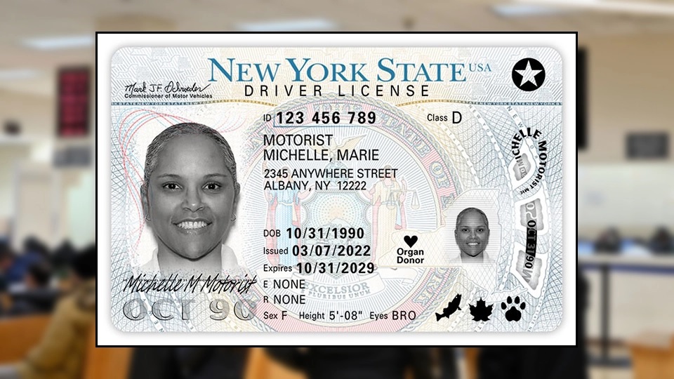 无证移民可以在哪些州申请驾照？REAL ID，Enhanced ID和普通驾照有什么分别？|王君宇律师楼