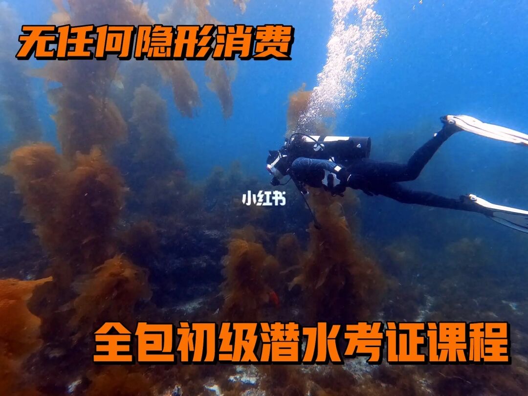 【娛樂】史無前例的初級潛水執照全包課程，沒任何附加消費，全包到底！ ！ ！還不快點報名？錯過你將會損失一個億！