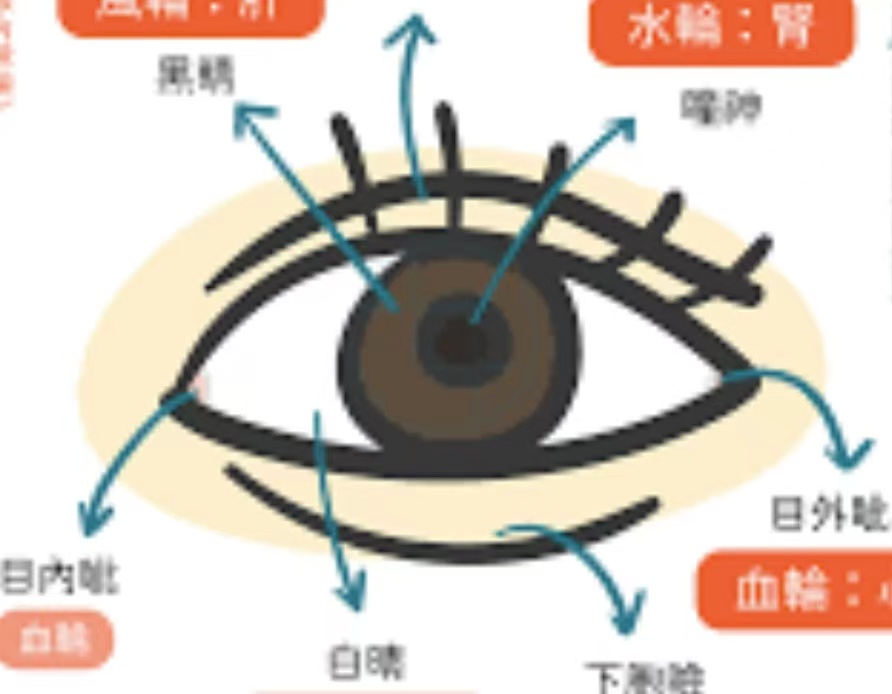 【先天八卦眼针调控眼压的一点体会】