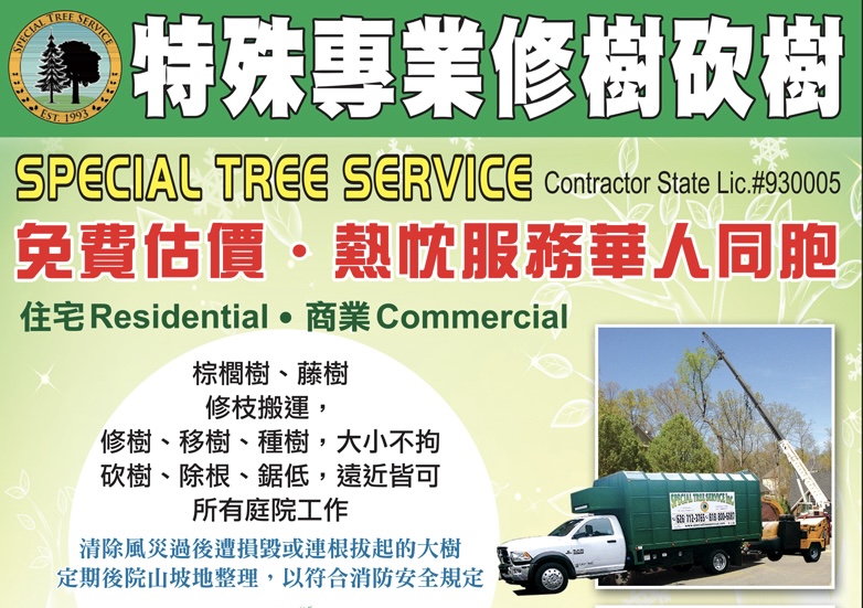 【CCYP茶間熱話】特殊砍樹｜樹木一年不修剪，可能帶來哪些風險？提醒屋主及早檢查