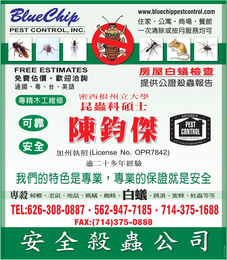 房屋买卖时一定要做白蚁检查 | 安全杀虫公司