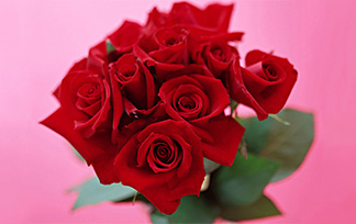 【私人訂制婚戀服務專家】幫助到您找到幸福另一半！