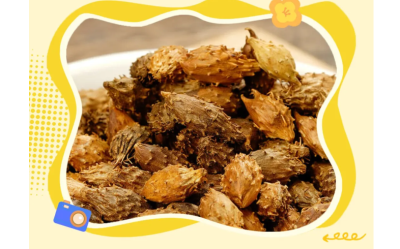 【养生】【【食知道】你了解苍耳子吗？  | 華寶貿易公司EAST CK TRADING INC