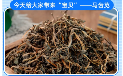 【养生】【食知道】今天来认识下马齿苋  | 華寶貿易公司EAST CK TRADING INC